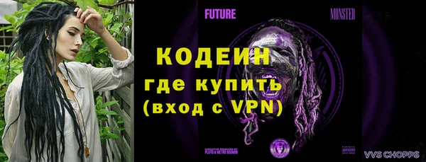 гашик Иннополис