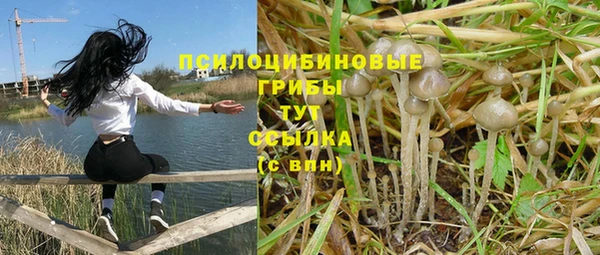 гашик Иннополис
