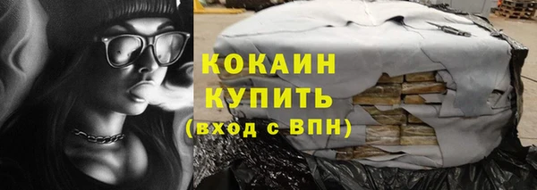 тгк Инсар