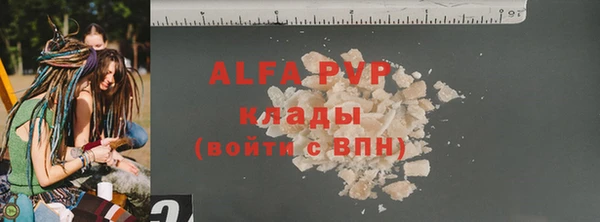 тгк Инсар