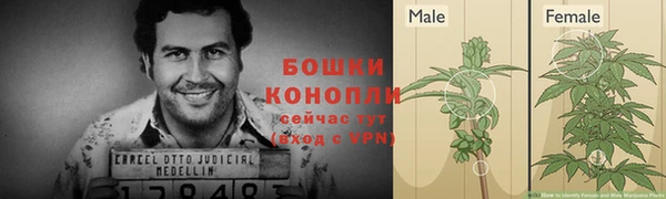 кокс Инта