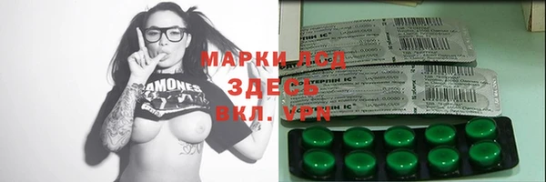 тгк Инсар
