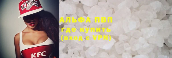 тгк Инсар