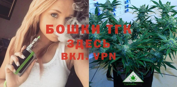 тгк Инсар