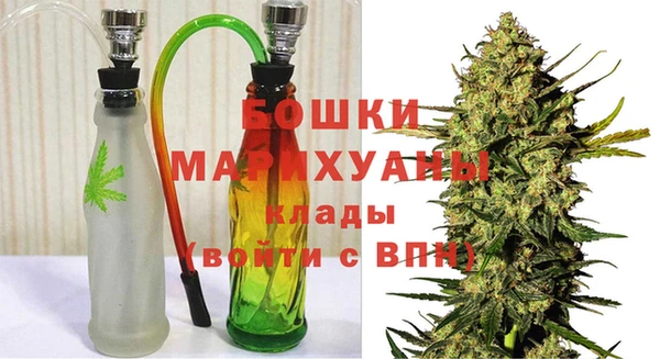 тгк Инсар