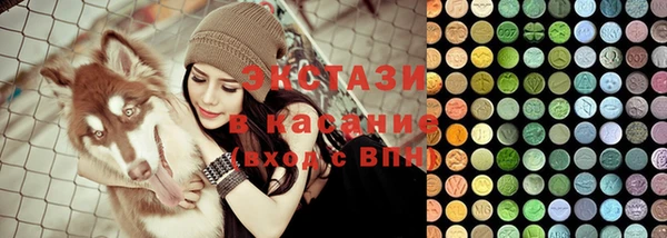 тгк Инсар