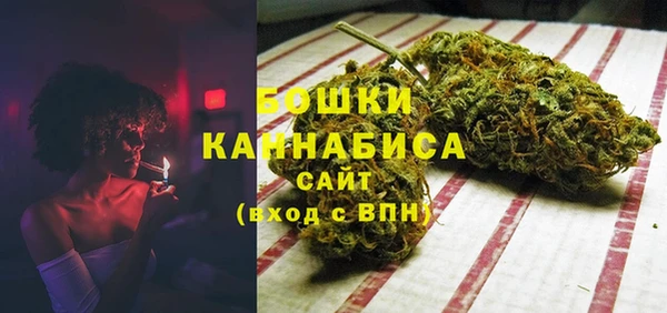 тгк Инсар